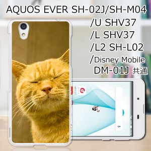 AQUOS U SHV37/EVER SH-02J ハードケース/カバー 【吾輩は猫である名前はまだニャい PCクリアハードカバー】スマートフォンカバー・