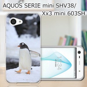 AQUOS SERIE mini SHV38/Xx3 mini 603SH ハードケース/カバー 【ペンギン PCクリアハードカバー】 スマートフォンカバー・ジャケット