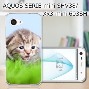 AQUOS SERIE mini SHV38/Xx3 mini 603SH ハードケース/カバー 【見つけたニャン PCクリアハードカバー】 スマートフォンカバー・ジャケッ