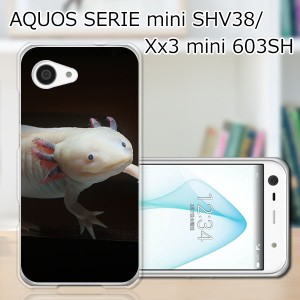AQUOS SERIE mini SHV38/Xx3 mini 603SH ハードケース/カバー 【ウーパールーパー PCクリアハードカバー】 スマートフォンカバー・ジャケ