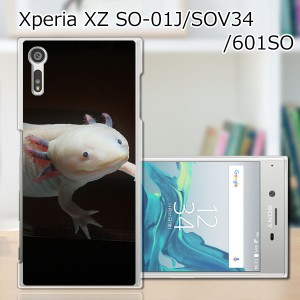 Xperia XZ SOV34 SO-01J 601SO ハードケース/カバー 【ウーパールーパー PCクリアハードカバー】 sov34 スマートフォンカバー