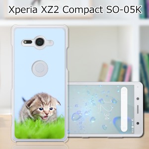 docomo Xperia XZ2 Compact SO-05K ハードケース/カバー 【見つけたニャン PCクリアハードカバー】