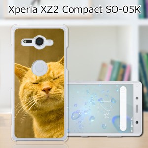 docomo Xperia XZ2 Compact SO-05K ハードケース/カバー 【吾輩は猫である名前はまだニャい PCクリアハードカバー】