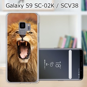 au Galaxy S9 SCV38/docomo SC-02K ハードケース/カバー 【らいおん！ PCクリアハードカバー】 スマートフォンカバー・ジャケット