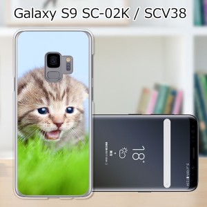 au Galaxy S9 SCV38/docomo SC-02K ハードケース/カバー 【見つけたニャン PCクリアハードカバー】 スマートフォンカバー・ジャケット
