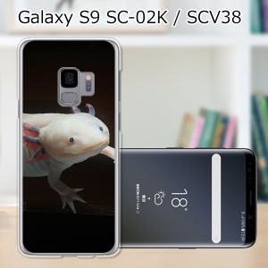 au Galaxy S9 SCV38/docomo SC-02K ハードケース/カバー 【ウーパールーパー PCクリアハードカバー】 スマートフォンカバー・ジャケット