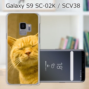 au Galaxy S9 SCV38/docomo SC-02K ハードケース/カバー 【吾輩は猫である名前はまだニャい PCクリアハードカバー】