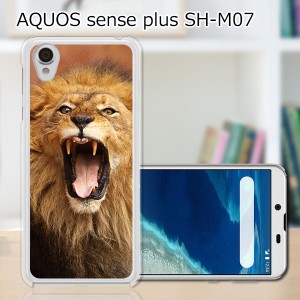 AQUOS sense plus SH-M07 TPUケース/カバー 【らいおん！ TPUソフトカバー】 