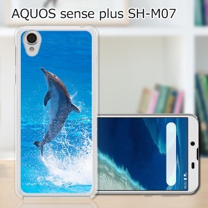 AQUOS sense plus SH-M07 TPUケース/カバー 【ドルフィン TPUソフトカバー】 