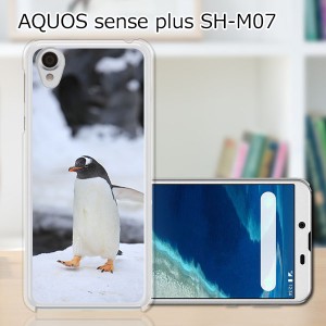 AQUOS sense plus SH-M07 ハードケース/カバー 【ペンギン PCクリアハードカバー】
