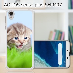 AQUOS sense plus SH-M07 TPUケース/カバー 【見つけたニャン TPUソフトカバー】 