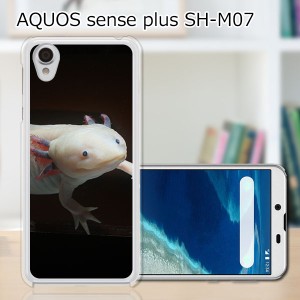 AQUOS sense plus SH-M07 TPUケース/カバー 【ウーパールーパー TPUソフトカバー】 