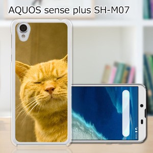 AQUOS sense plus SH-M07 ハードケース/カバー 【吾輩は猫である名前はまだニャい PCクリアハードカバー】