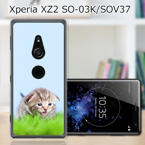 au Xperia XZ2 SOV37/docomo SO-03K ハードケース/カバー 【見つけたニャン PCクリアハードカバー】