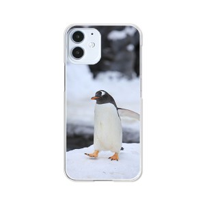 apple iPhone12 mini アイフォン12ミニ ハードケース/カバー 【ペンギン PCクリアハードカバー】