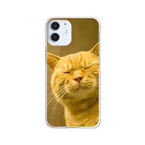 apple iPhone12 mini アイフォン12ミニ ハードケース/カバー 【吾輩は猫である名前はまだニャい PCクリアハードカバー】