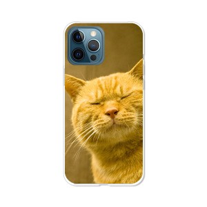 apple iPhone12 Pro Max アイフォン12プロマックス ハードケース/カバー 【吾輩は猫である名前はまだニャい PCクリアハードカバー】