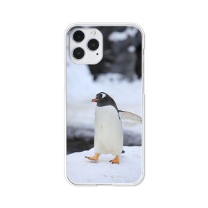 apple iPhone12/iPhone12 Pro ハードケース/カバー 【ペンギン PCクリアハードカバー】
