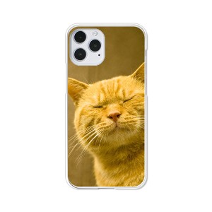 apple iPhone12/iPhone12 Pro ハードケース/カバー 【吾輩は猫である名前はまだニャい PCクリアハードカバー】
