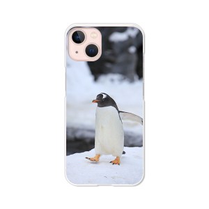 apple iPhone13 ハードケース/カバー 【ペンギン PCクリアハードカバー】