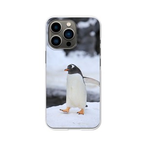 apple iPhone13Pro ハードケース/カバー 【ペンギン PCクリアハードカバー】