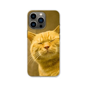 apple iPhone13Pro ハードケース/カバー 【吾輩は猫である名前はまだニャい PCクリアハードカバー】