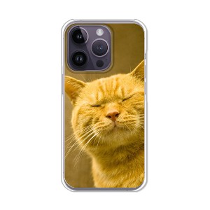 iPhone14Pro アイフォン14プロ ハードケース/カバー 【吾輩は猫である名前はまだニャい PCクリアハードカバー】