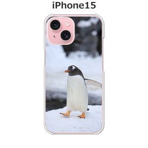 apple iPhone15 iphone15 アイフォン15 TPUソフトケース カバー 【ペンギン TPUソフトカバー】 