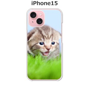 iPhone15 iphone15 アイフォン15 ハードケース/カバー 【見つけたニャン PCクリアハードカバー】