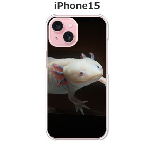 iPhone15 iphone15 アイフォン15 ハードケース/カバー 【ウーパールーパー PCクリアハードカバー】