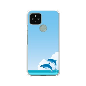 au Google Pixel 5 ハードケース/カバー 【DolphinJamp PCクリアハードカバー】