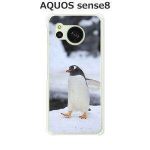 au AQUOS sense8 SHG11 docomo SH-54D アクオス センス8 ハードケース/カバー 【ペンギン PCクリアハードカバー】