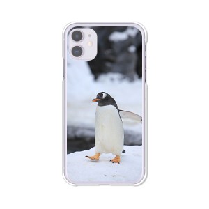 apple iPhone11 Pro 5.8インチ  ハードケース/カバー 【ペンギン PCクリアハードカバー】