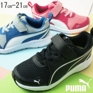 送料無料 キッズ ジュニア 男の子 女の子 スニーカー ランニングシューズ ローカット 運動靴 プーマ PUMA 370576 子供靴 ピュア ジョガー