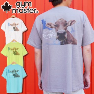 メール便送料無料 メンズ Tシャツ 半袖 ジムマスター gym master G433680 COW TEE カウ カットソー トップス ウェア ショートスリーブ ク