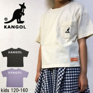 メール便送料無料 キッズ ジュニア 男の子 女の子 SS 春夏 新作 2022 春新作 夏新作 Tシャツ 半袖 人気 流行 定番 KANGOL 887225 カンゴ