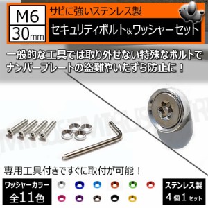 ステンレス製 セキュリティーボルト ワッシャー M6 30mm 4個セット 専用工具 付 ナンバーボルト 自光式 電光式 ナンバープレート 盗難 い