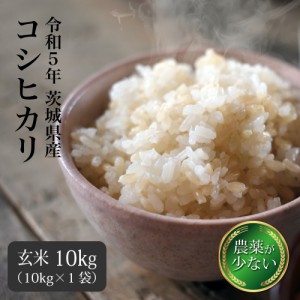 玄米 10kg コシヒカリ 送料無料 米 お米 茨城県産 令和5年 新米 農薬が少ないお米 （北海道・九州+300円）離島不可