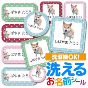 お名前シール 耐水 耐熱 ネームシール 選べる 名前シール おなまえシール 保育園 幼稚園 小学校 入園準備 入学準備 防水 レンジ 子供 キ