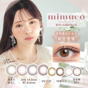 河西美希 カラコン ミムコ ワンデー 1箱10枚入り×2箱セット みきぽん 14.2mm UVカット 度あり 度なし 低含水 ナチュラル ハーフ 裸眼風 