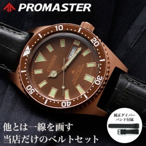 【限定 ベルトセット】シチズン プロマスター マリン 腕時計 CITIZEN PROMASTER MARINE 時計 ダイバーズウォッチ メンズ 男性 ブラウン 