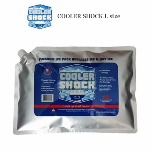 COOLER SHOCK Lサイズ (クーラーショック) 保冷剤 保冷約12時間 繰り返し使用可 キャンプ アウトドア 釣り レジャー 中-大型クーラーボッ