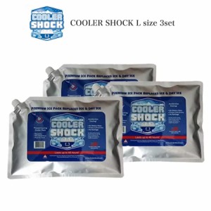 COOLER SHOCK Lサイズ 3個セット(クーラーショック) 保冷剤 予冷約12時間 繰り返し使用可 キャンプ 釣り レジャー 中-大型クーラーボック