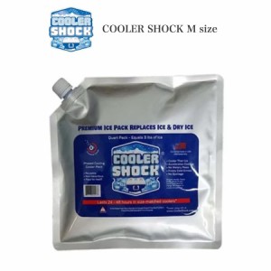 COOLER SHOCK Mサイズ (クーラーショック) 保冷剤 予冷約12時間 繰り返し使用可 キャンプ 釣り レジャー クーラーボックス用 お弁当