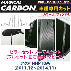 ピラーセット ノーマルカット（フルセット 左右合計12ピース） マジカルカーボン ブラック アクア NHP10系(〜H26/11)/ハセプロ：CPT-F70