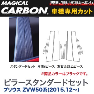 HASEPRO/ハセプロ：ピラースタンダードセット(片側6ピース 左右合計12ピース) マジカルカーボン BK プリウス ZVW50系 H27/12〜/CPT-82