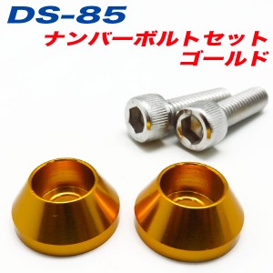 メール便可｜ナンバーボルト ナンバープレートボルト 車 ゴールド GOLD 2個入 アルファ DS-85