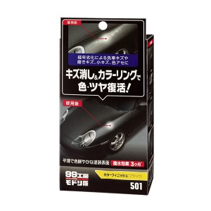 ソフト99 99工房モドシ隊 カラーフィニッシュ キズ消し＆カラーリング 磨きキズ・色あせ等に 撥水効果3ヶ月 ブラック 65ｇ 09501