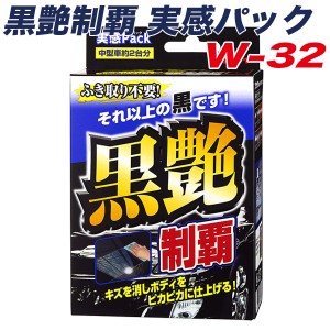 リンレイ 黒艶制覇 実感パック ボディコーティング剤 撥水効果6ヶ月 中型車約2台分 樹脂・メッキパーツなどに 80ml W-32