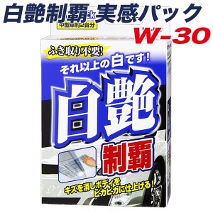 リンレイ 白艶制覇 実感パック ボディコーティング剤 撥水効果6ヶ月 中型車約2台分 樹脂・メッキパーツなどに 80ml W-30